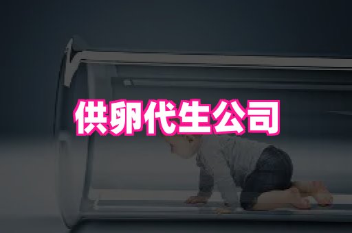 821孕网 1