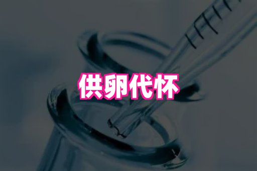 821孕网 3